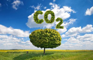什么是碳交易、碳交易市场交易基本原理
